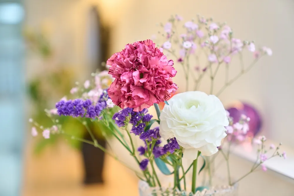 保定・メンテナンス